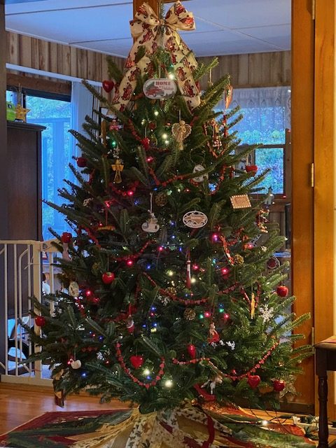 Christmas Trees