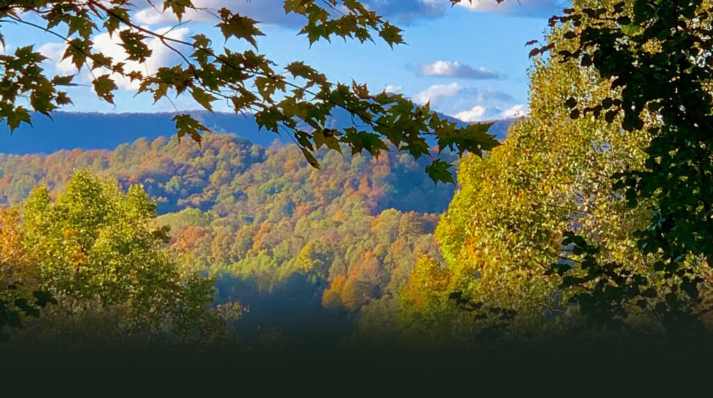 Colorful autumn leaves cover the mountains