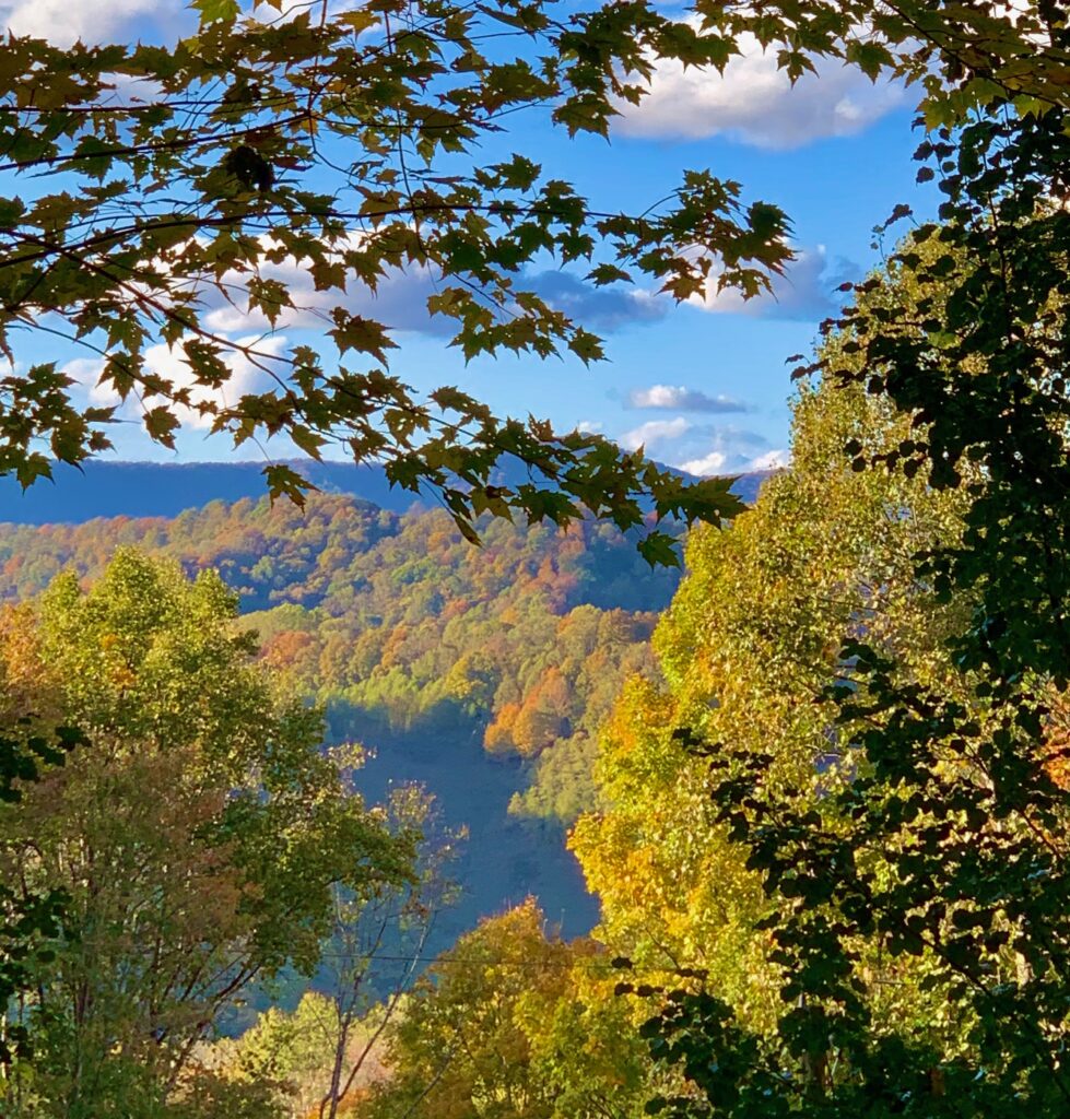 Autumn landscape featuring mountains and trees
