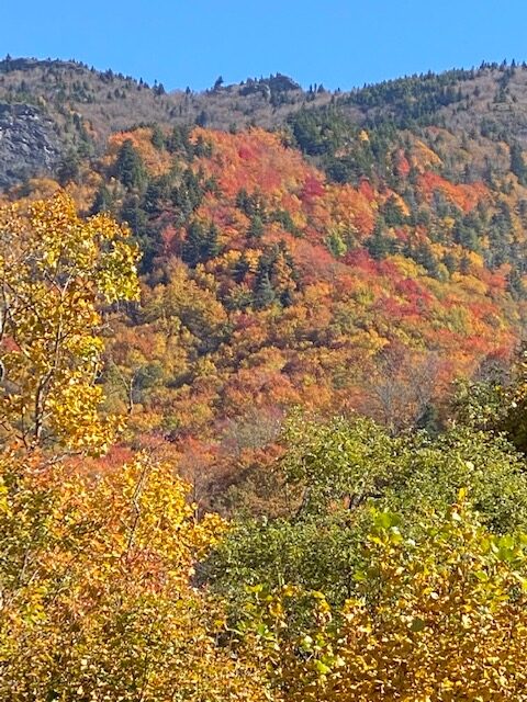 A scenic mountain surrounded by trees displaying beautiful fall colors