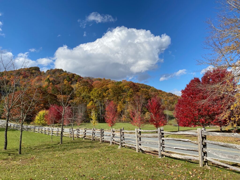 A wooden fence surrounded by colorful fall trees