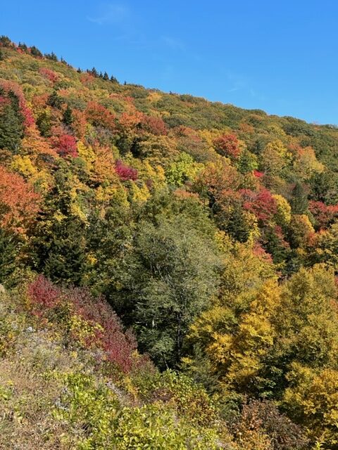 Autumn colors transform the mountain's foliage