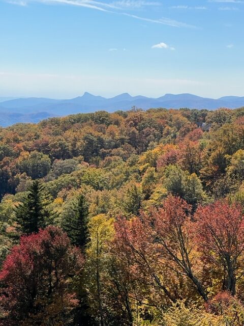 Colorful autumn foliage