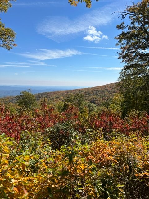 A breathtaking view from a mountain peak