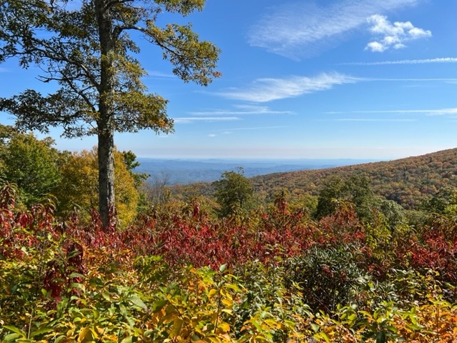 A breathtaking view from a mountain peak