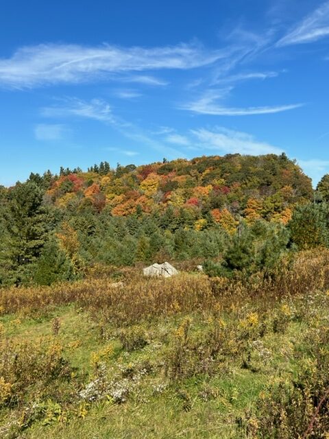 A scenic hill adorned with bright autumn foliage against a sunny blue sky