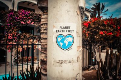 PLANET EARTH SIGN IN GARDEN