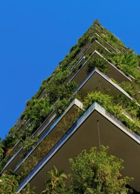 BUILDING WITH VEGITATION